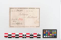 Etiketten zu Bronzebrillenfibel (NHMW-PRAE-024731)